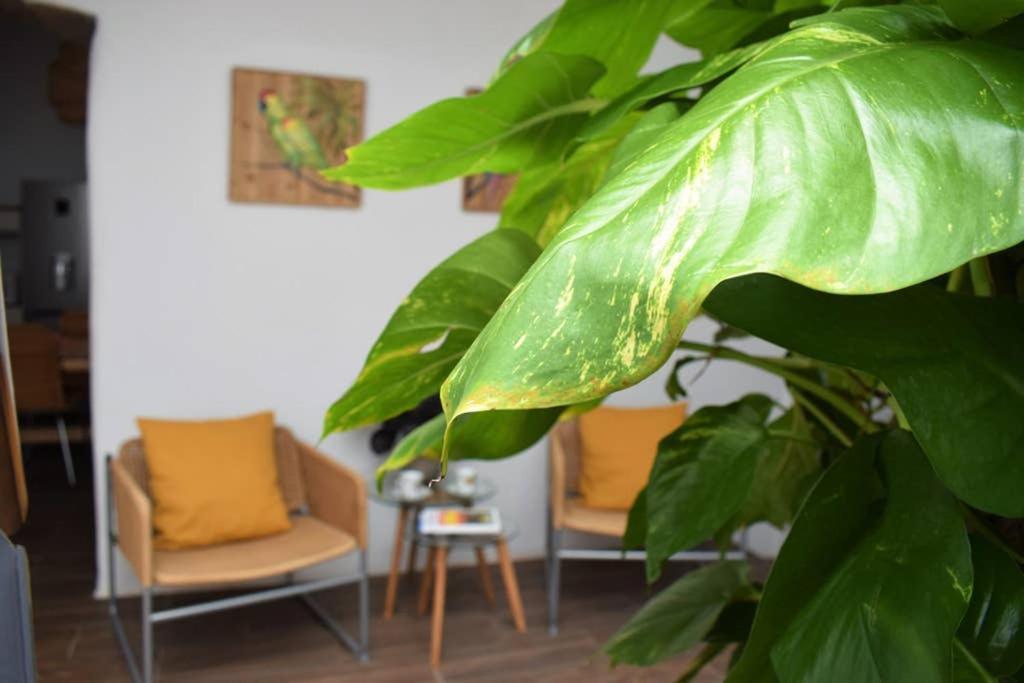 La Casa Vieja Villa Arafo Eksteriør billede